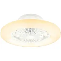 Globo Deckenventilator mit Fernbedienung Deckenleuchte mit Ventilator Dimmbar Ventilatorlampe, Sterneneffekt CCT Timer, LED 30W 1800lm 3000-6500K, D 50 cm