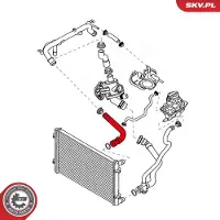 ESEN SKV Kühlerschlauch 43SKV709