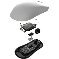 Endgame Gear OP1W 4K V2, rechts, Optisch, RF Wireless + USB Type-A, 30000 DPI, Weiß