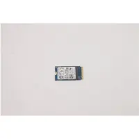 Lenovo SSD - 256 GB - intern - M.2 2242 - PCIe