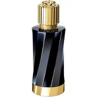 Versace Atelier Tabac Impérial Eau De Parfum 100 ml (unisex)