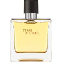 Hermès Paris Hermes Terre D'hermes Eau De Parfum Spray 75ml