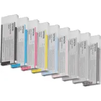 Epson T6069