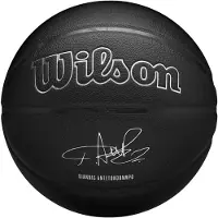 Wilson Electronics NBA-Spieler Evergreen Bskt Giannis Basketballball