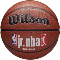Wilson Jr NBA Fam Logo Auth In Out Basketballball