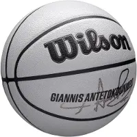 Wilson Electronics NBA-Spielersymbol UV Bskt Giannis Basketballball