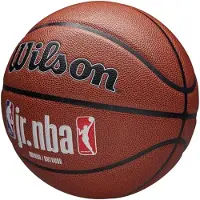 Wilson Jr NBA Fam Logo Auth In Out Basketballball