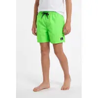Quiksilver Badeshorts "EVERYDAY VOLLEY YTH 14" für Kinder und Jugendliche, unifarbenes Design, mit Badge