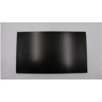 Lenovo LGD Touch LM215WFA-SSA2 (01AG924)