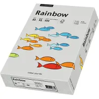 Rainbow Multifunktionspapier Color DIN A3 80g/m² grau 500 Bl./Pack.