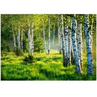 WALLARENA Fototapete Wald in Zielony | Gr.: 200 x 140 cm