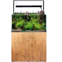 Aquael Aquarium UltraScape 60 mit LED Beleuchtung ca. 64 l OPTI-Glas, Weißglas, ohne Unterschrank forest