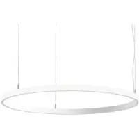 Brumberg LED-Pendel-Ringleuchte