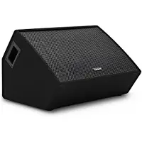 SubZero C15M Passiver Bühnenmonitor