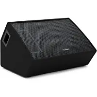SubZero C15MA 15" 700W Aktiver Bühnenmonitor