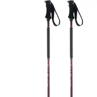Elan Ripstick Rod W Stöcke