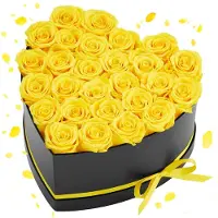 Vevor 27 Stk. Ewige Rosen in Herzform Box