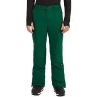 O'Neill Fwc Peak Cargo Hosen