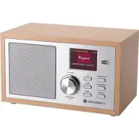 GoGen DAB620BT