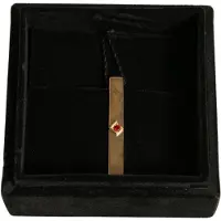 Dolce&Gabbana Goldene Krawattennadel mit Rubineinsatz