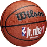Wilson Jr Nba Fam Logo Indoor Outdoor Bskt