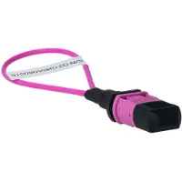 BlueLAN BlueOptics Loopback Adapter MPO/MTP Multimode OM4