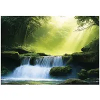 WALLARENA FOTOTAPETE 3D Effekt Wasserfall Wald Wohnzimmer 250x175