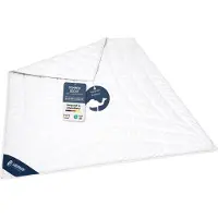 Innovations2U UG (haftungsbeschränkt) Kamelhaardecke 135x200 cm, extra leichte Sommerdecke, Bettdecke 100% Kamelflaumhaar, CASIMUM
