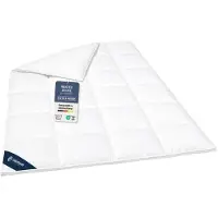 Innovations2U UG (haftungsbeschränkt) Daunendecke 200x200 cm, extra warme Winterdecke, Bettdecke 90% Daunen / 10% Federn, DOWNPASS, CASIMUM