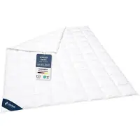 Innovations2U UG (haftungsbeschränkt) Daunendecke 240x220 cm, extra leichte Sommerdecke, Bettdecke 100% Daunen, DOWNPASS, CASIMUM