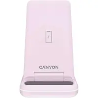 Canyon WS-304, Pink