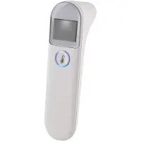 Grundig 248653 Thermometer
