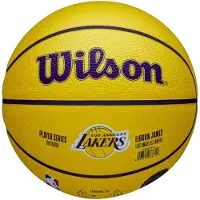 Wilson Electronics NBA-Spielerikone LeBron James Mini-Basketball