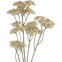 Gasper Schafgarbe - Achillea Beige 73 cm - Kunstblumen