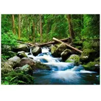 WALLARENA Fototapete Wald in Grün | Gr.: 200 x 140 cm