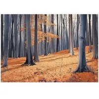 WALLARENA FOTOTAPETE Wald Bäume Natur Vlies Tapete Wohnzimmer 350x250
