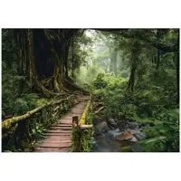 WALLARENA Fototapete Wald in Grün | Gr.: 200 x 140 cm