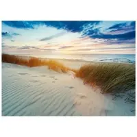 WALLARENA Fototapete Strand in Beige | Gr.: 350 x 250 cm