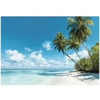 WALLARENA FOTOTAPETE 3D Effekt Strand Meer Palmen Hawaii 400x280