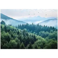 WALLARENA Fototapete Wald in Grün | Gr.: 350 x 250 cm