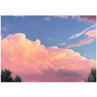 WALLARENA FOTOTAPETE Kinderzimmer Mädchen Wolken Himmel Kindertapete 300x210