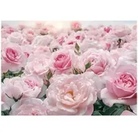 WALLARENA FOTOTAPETE Blumen Rosen Wohnzimmer Vlies Tapete 250x175