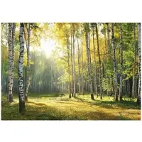 WALLARENA FOTOTAPETE 3D Effekt Wald Wohnzimmer 400x280