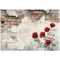 WALLARENA FOTOTAPETE Betonwand Blumen Vlies Tapete Wohnzimmer Schlafzimmer 200x140