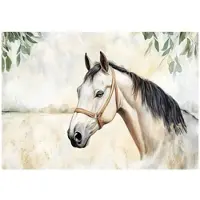 WALLARENA FOTOTAPETE Kinderzimmer Mädchen Pferde Kindertapete 150x105