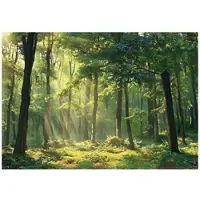 WALLARENA Fototapete Wald in Grün | Gr.: 200 x 140 cm