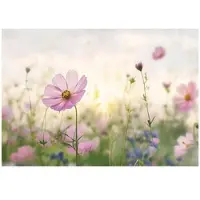 WALLARENA Fototapete Blumen in Rosa | Gr.: 250 x 175 cm