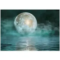 WALLARENA FOTOTAPETE Meer Mond Vlies Tapete Wohnzimmer Schlafzimmer 250x175