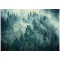WALLARENA FOTOTAPETE Wald im Nebel Vliestapete 350x250