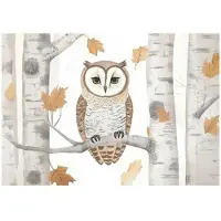 WALLARENA TAPETE Kinderzimmer Tiere Eule 250x175